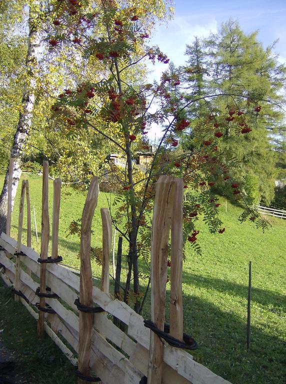 Haus Lukas Bed & Breakfast Seefeld in Tirol Bagian luar foto